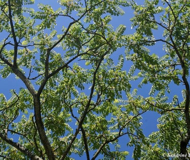 séance sophrologie groupe villefranche