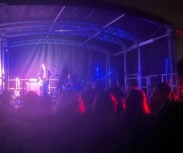Allergy live music band rocking at woolyfest
