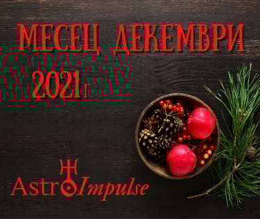 Прогноза Декември 2021г.