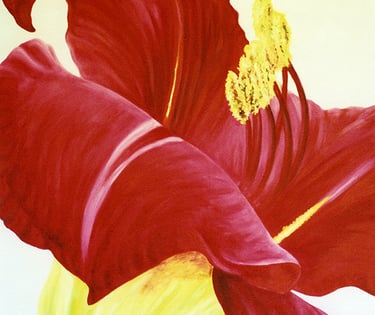 floral flower art painting for sale or commission artist from your photo