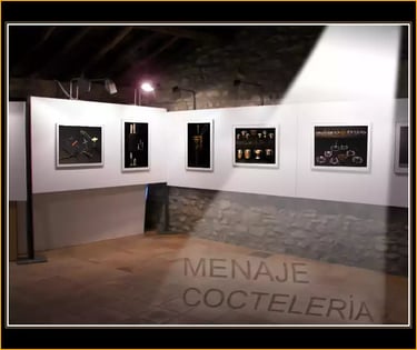 ARTEDDYSCAP Exposiciones Museum