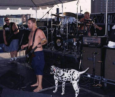 Sublime band members performing on stage with a Dalmatian dog during an outdoor concert.