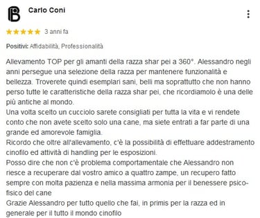 addestramento cane avellino