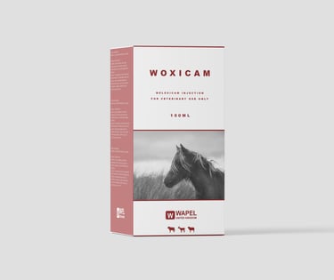 WOXICAM Medicine