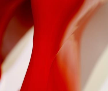 The Red Rainboots In White 