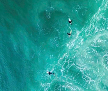 Surf trip pays basque