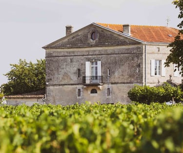 Excursion à saint Emilion