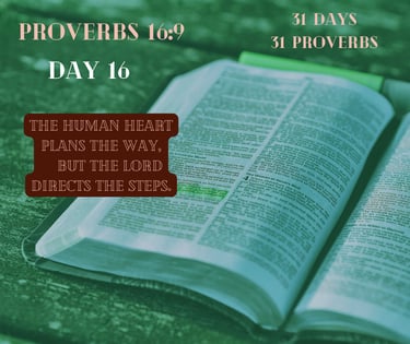 An open Bible displays Proverbs 16:9
