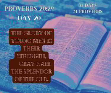 An open Bible displays Proverbs 20:29