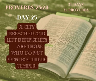 An open Bible displays Proverbs 25:28