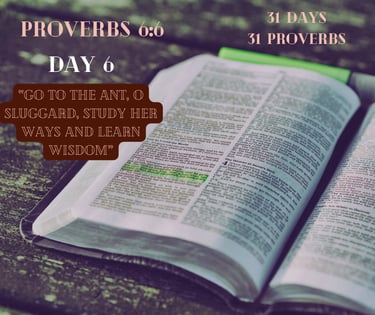 An open Bible displays Proverbs 6:6