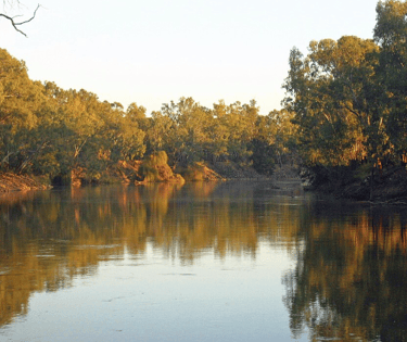 Picture of The Murrumbidgee River in Wagga Wagga