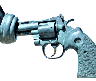 hr 127, insanity on steroids, gun control, project give a shit, project gas
