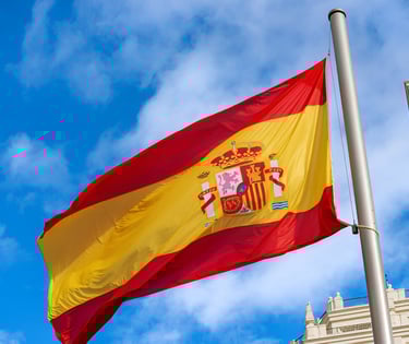 Bandera de España en la página de homologación de títulos profesionales..