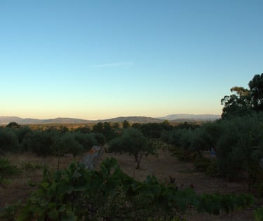 Uitzicht op de bergen van Portugal bij zon opkomst