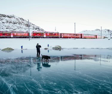 train snow winter dog men