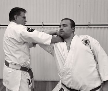 Kenyukan Aiki techniques
