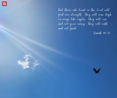 a bird flying in the sky with a quote from Isaiah