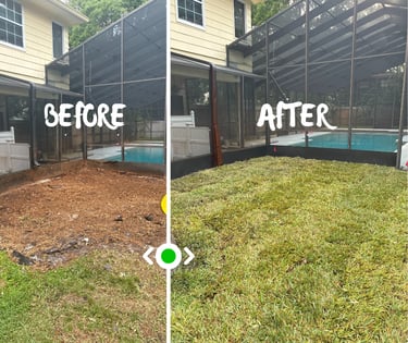 Sod installation before and after Jacksonvlle FL