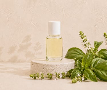 Fresh Ocimum basilicum leaves and flowers beside pale yellow linalool-type basil essential oil