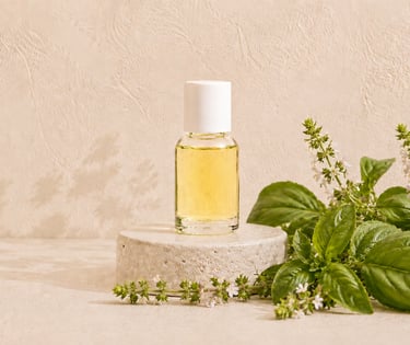 Fresh Ocimum basilicum leaves and flowers beside pale yellow methylchavicol-type basil essential oil