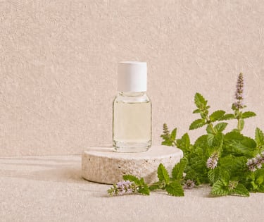 Fresh Mentha arvensis leaves beside clear pale yellow mint essential oil