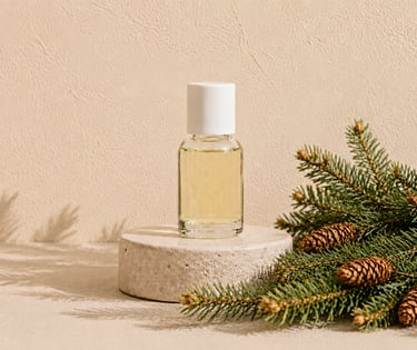 Picea abies branches and cones beside clear pale yellow spruce essential oil
