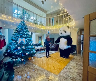 Šokanti panda, pandutės sveikinimas