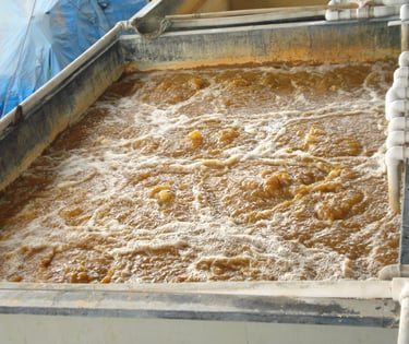 adequação de estações de tratamento por lodo ativado