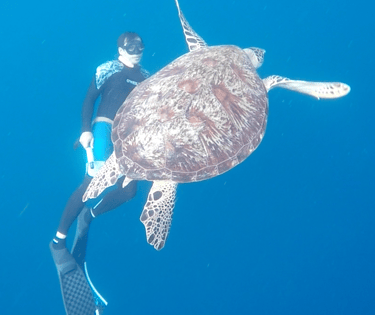 PADI Freediver Instructro Jon-Jon Suarez