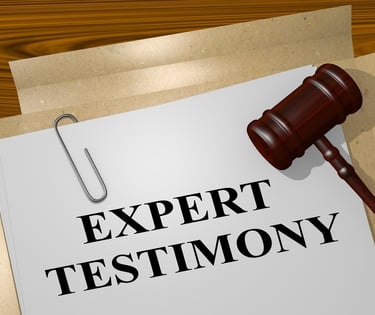 Appraiser Expert Witness