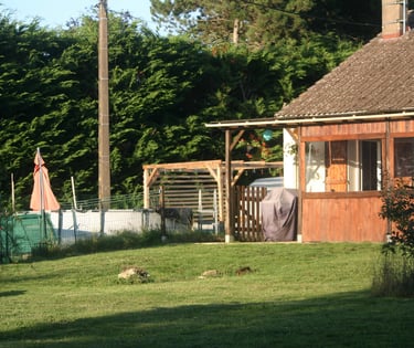 a horse is standing in the grass near a house