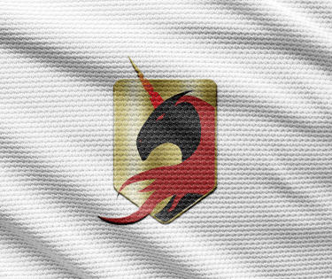 Logo Brigade du style sur maillot de sport
