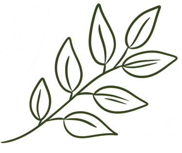 Branche avec feuilles vertes