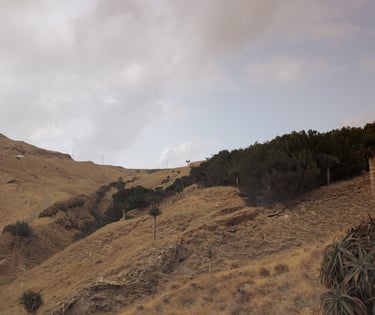 Vidinė valanda psichoterapijos konsultacija