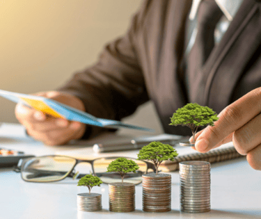 Person growing their wealth