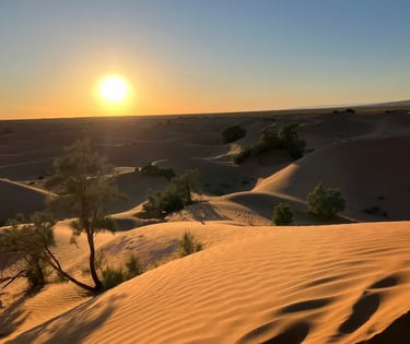 View across Sahara desert dune field at sunset with golden light over the sand