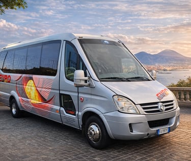 Noleggio con conducente minibus