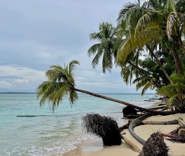 Panama Cayo Zapatilla Karaibik Bocas del Toro