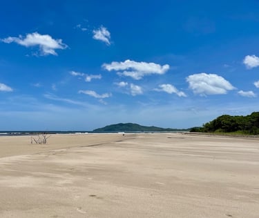 Playa Grande Tamarindo Costa Rica Guanacaste