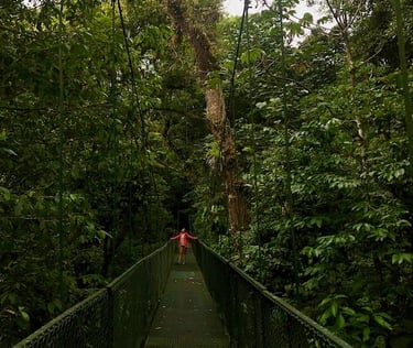 Hängebrücken Selvatura Park Monteverde Costa Rica