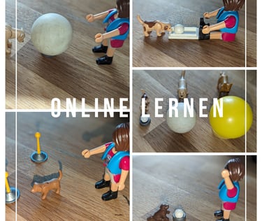 a series of photos of a woman playing with a dog