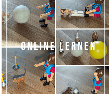 a series of photos of a woman playing with a dog