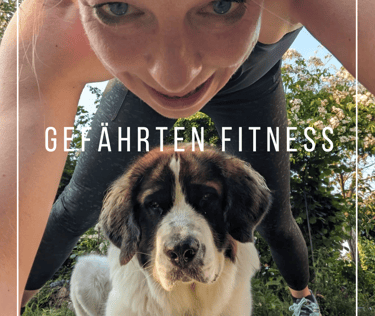 Fitnessübung mit Hund