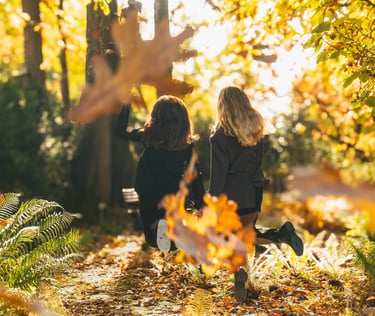 Velvet Explore feature to meet people across countries without swiping