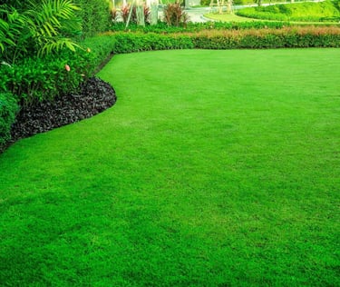 Lawn Care