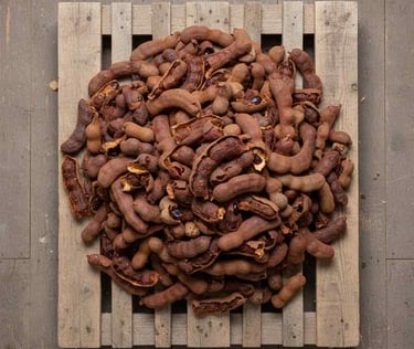“Bulk tamarind packed for export – wholesale grade dried tamarind”