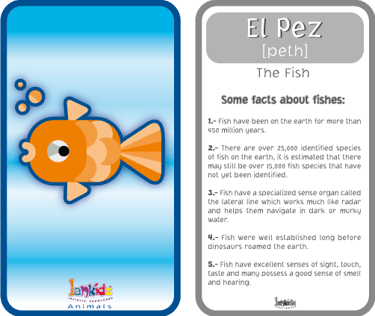 flashcards 1