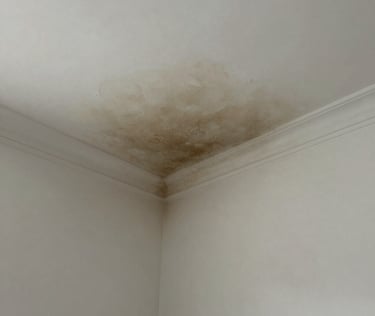 a man riding a skateboard down the side of a ramp