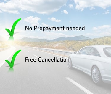 No prepayment needed and the free cancellation for the transfer